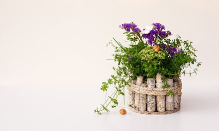 Sustainable florals and decor 5 Tips For a dreamy eco-friendly wedding