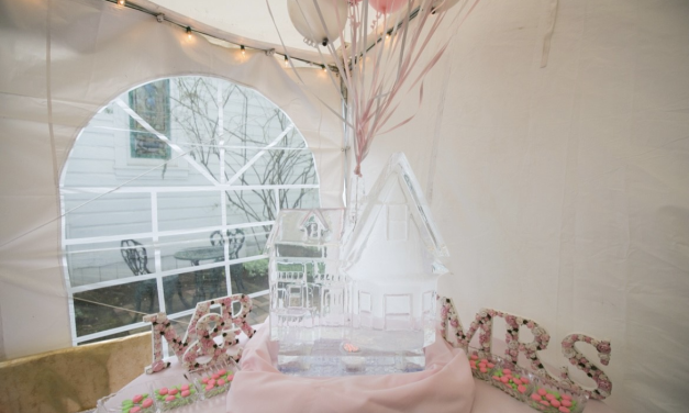 A Unique Themed Wedding from the Bride’s Perspective