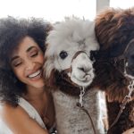Classy Camelids: Want a unique wedding idea? How about some party animals?